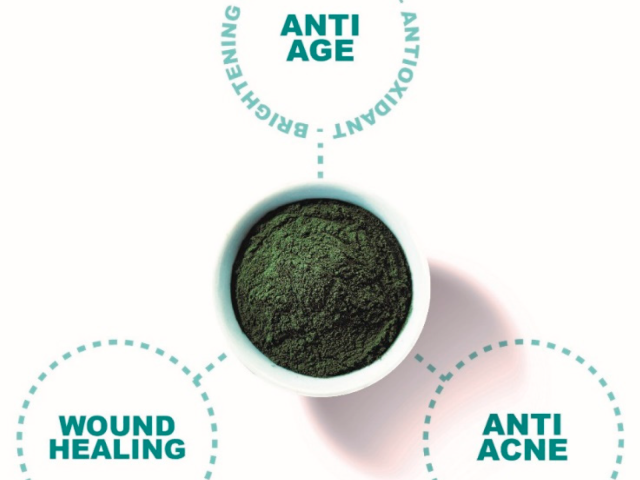 Tại sao tảo tươi Spirulina lại có ích cho viêm da cơ địa?
